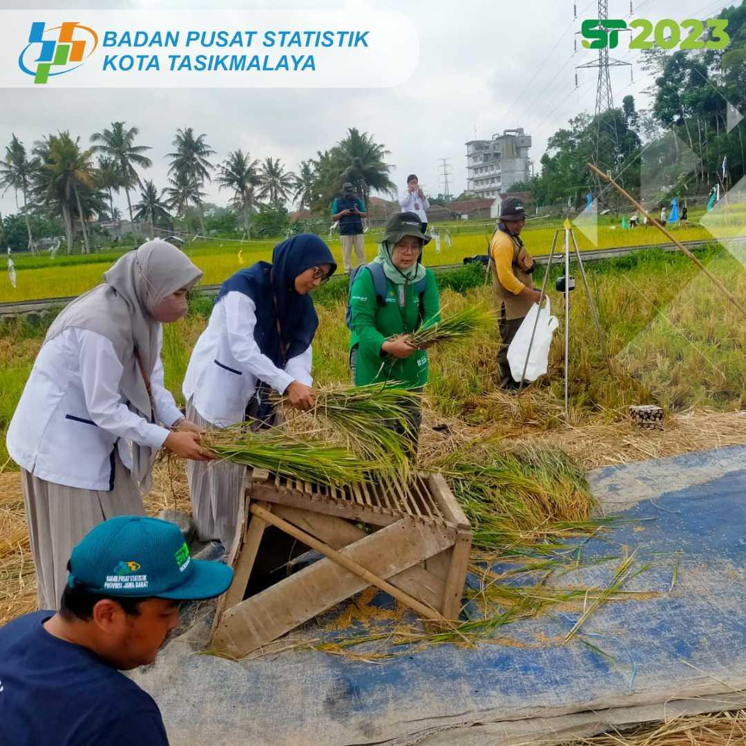 Role Playing Pelatihan Ubinan Padi ke Sawah, Totalitas Tanpa Batas